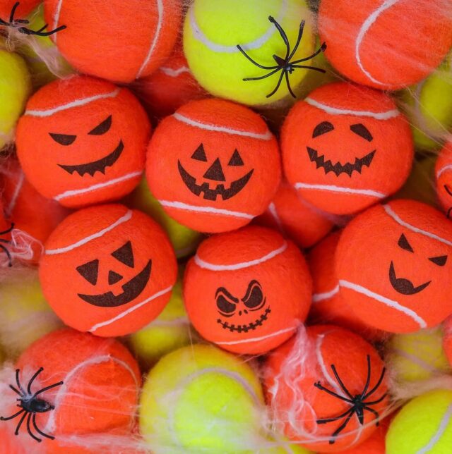 🎾👻 Join us on Friday 31st October at 7pm for a Spooktacular Halloween Tennis Social with Coach Frankensturt! 🎃🎾

There’ll be a prize for the creepiest costume and curry and sides by Sprinkle of Saffron. Vegetarian options are available, so let us know your dietary requirements when booking.

Cost: £12 per member.

Don’t be a scaredy-cat, book your spot to avoid missing out on a night of terrifyingly good fun!

See you on the (haunted) court!

#thebourneclub #racquetsclub #happyhalloween #halloweentennissocial #tennislove #tennispassion #funtimes